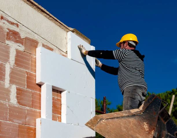Best Residential Insulation in Coats, NC