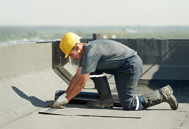 Best Specialty Insulation in Coats, NC