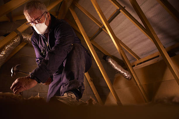 Best Insulation Materials and Products in Coats, NC